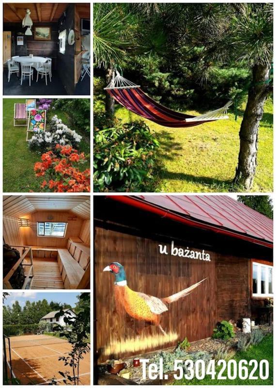 Lodge U Bazanta